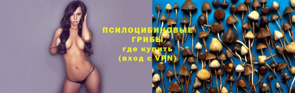 Альфа ПВП Алзамай
